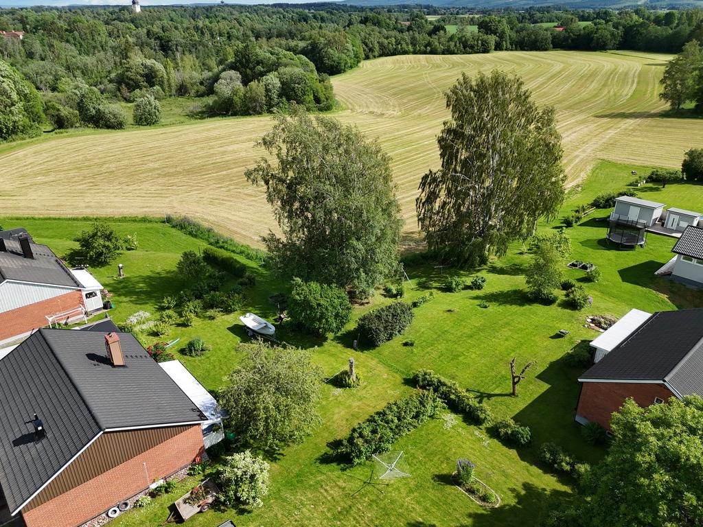 Området bakom huset. 