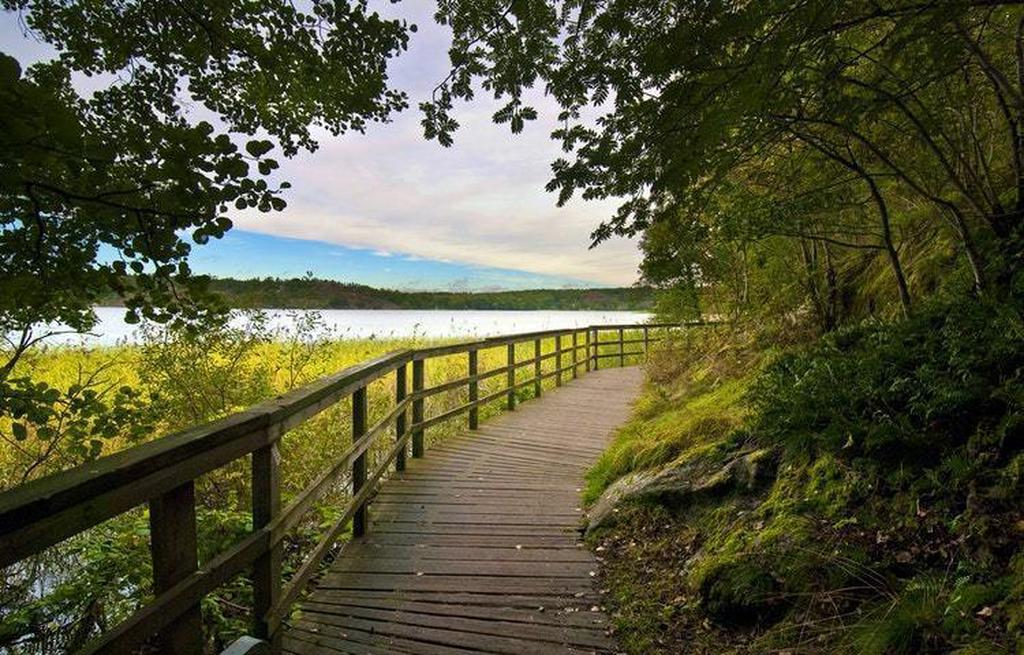 Sätraskogens naturreservat