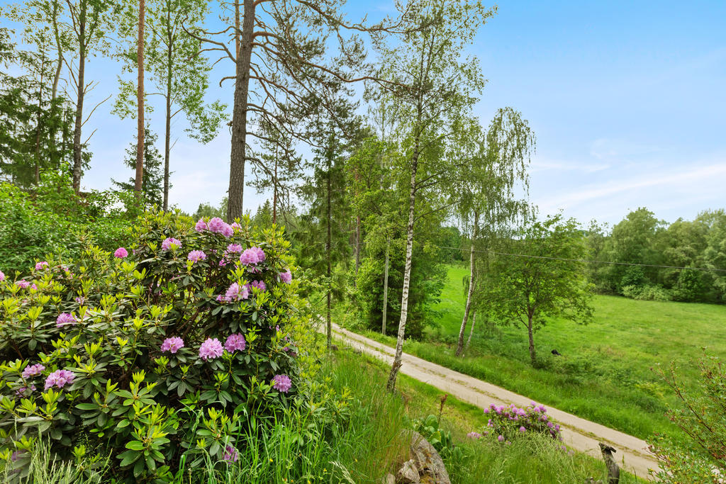 Grusvägen till huset