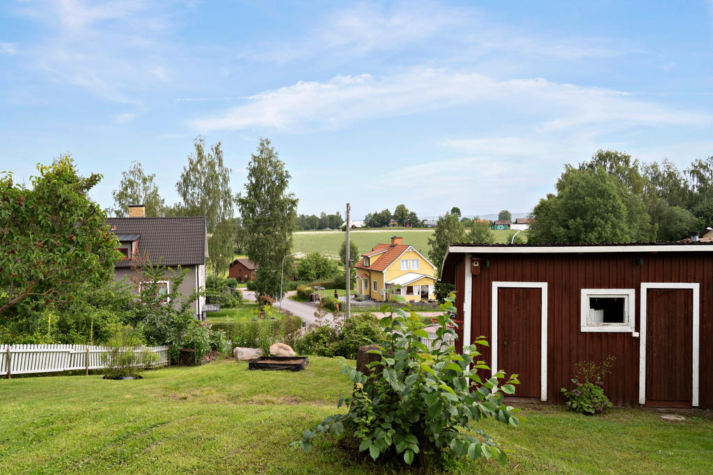 Trädgård
