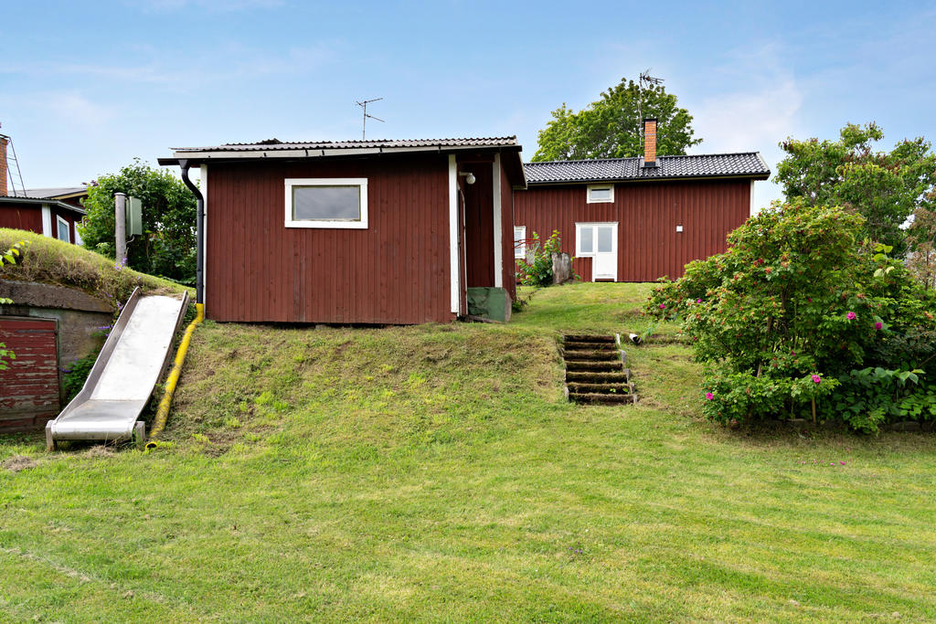 Trädgård
