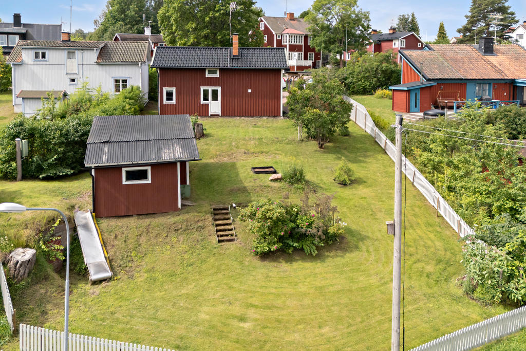 Trädgård