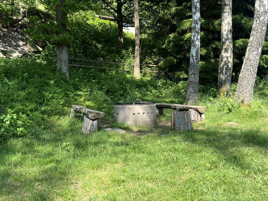 Grillplatsen vid sjön