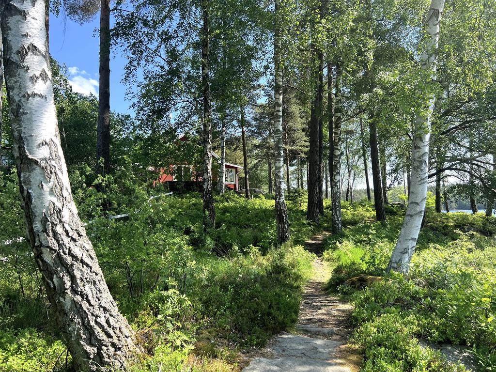 Stig att gå längs sjökanten