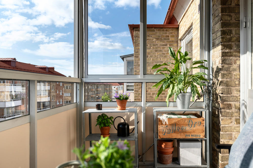 Här trivs växter och planteringar med möjlighet till sol under större delen av dagen samt kväll.