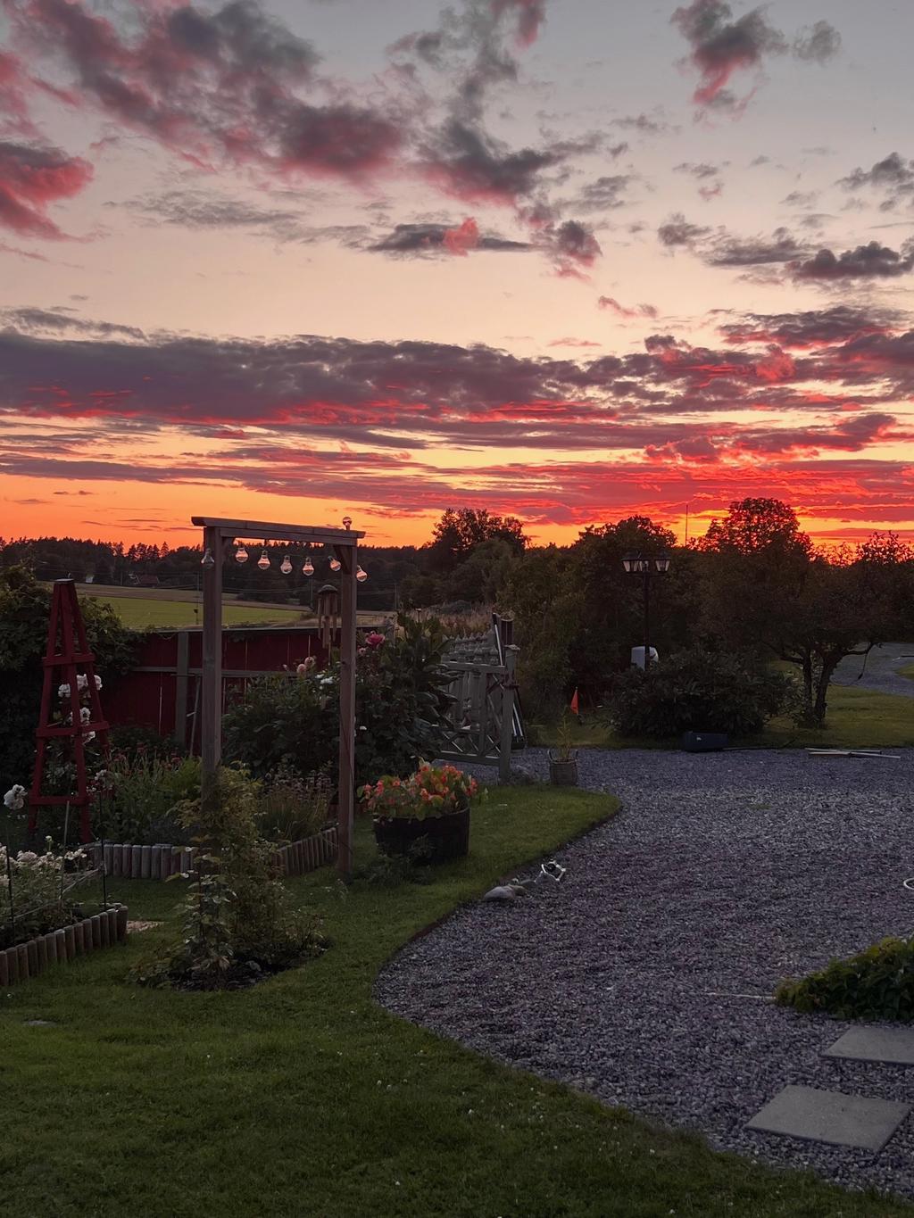 Säljarens bild - skymning över trädgården