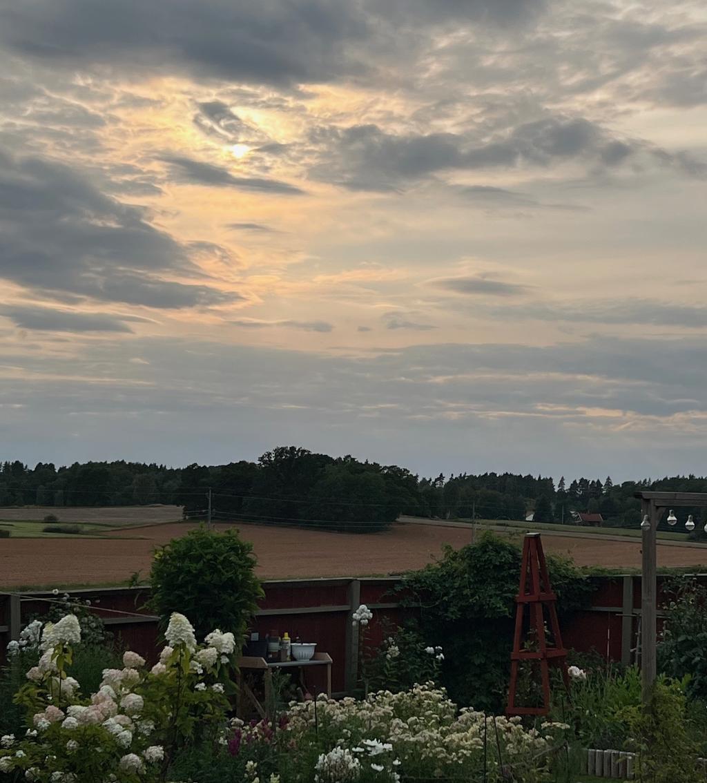 Säljarens bild