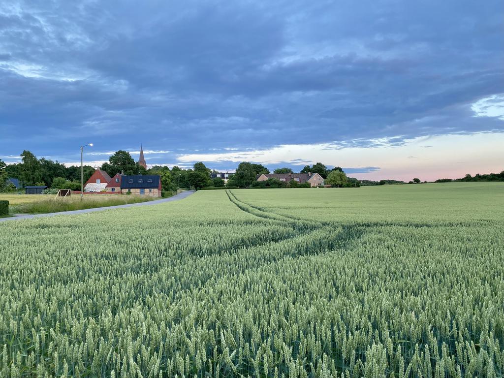 Annan plats på Ven. Säljarens bild.