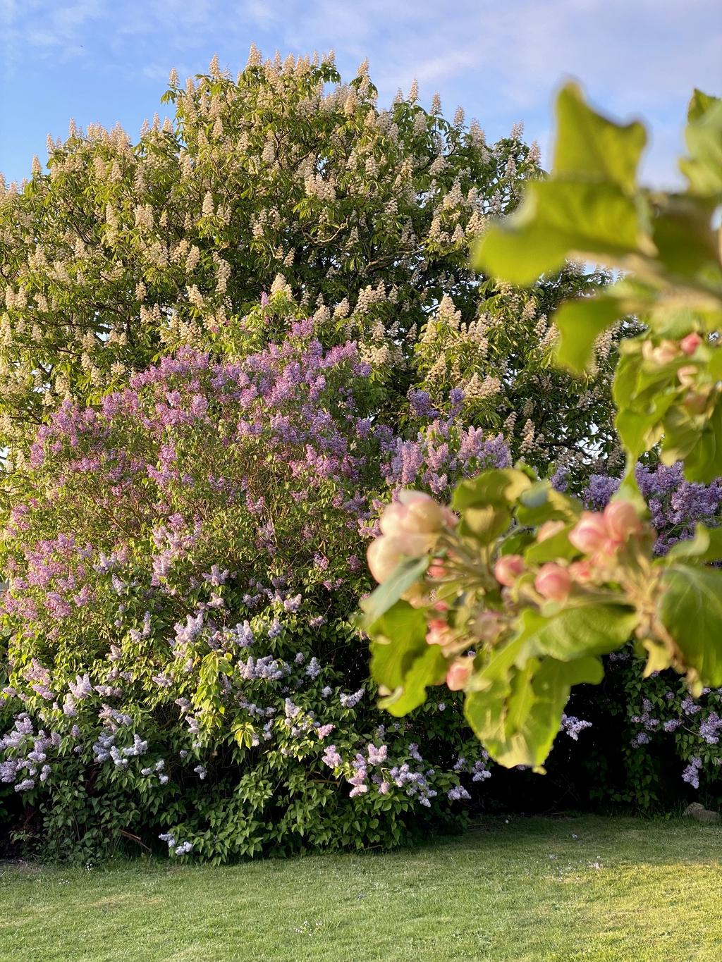 Säljarens bild.
