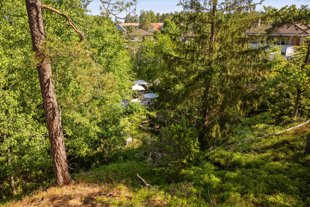 Vy från allmänning