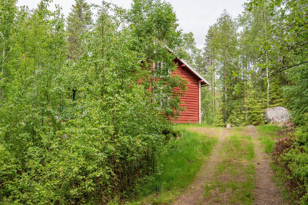 Exteriör