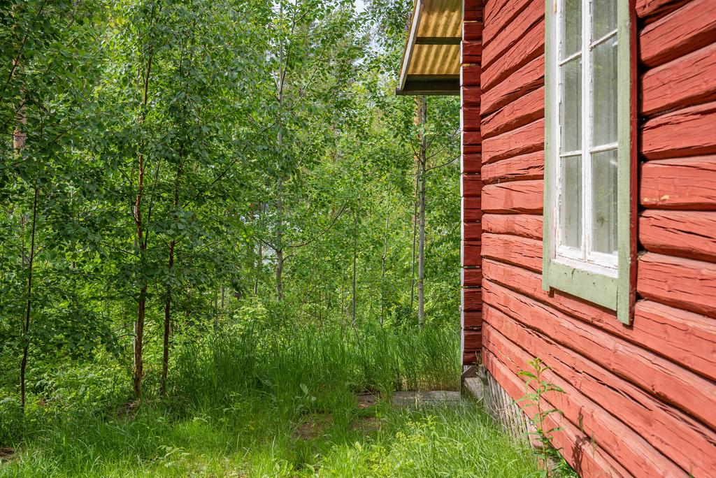 Exteriör