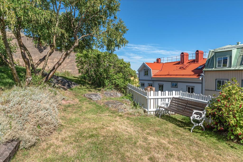 Trädgårds tomt