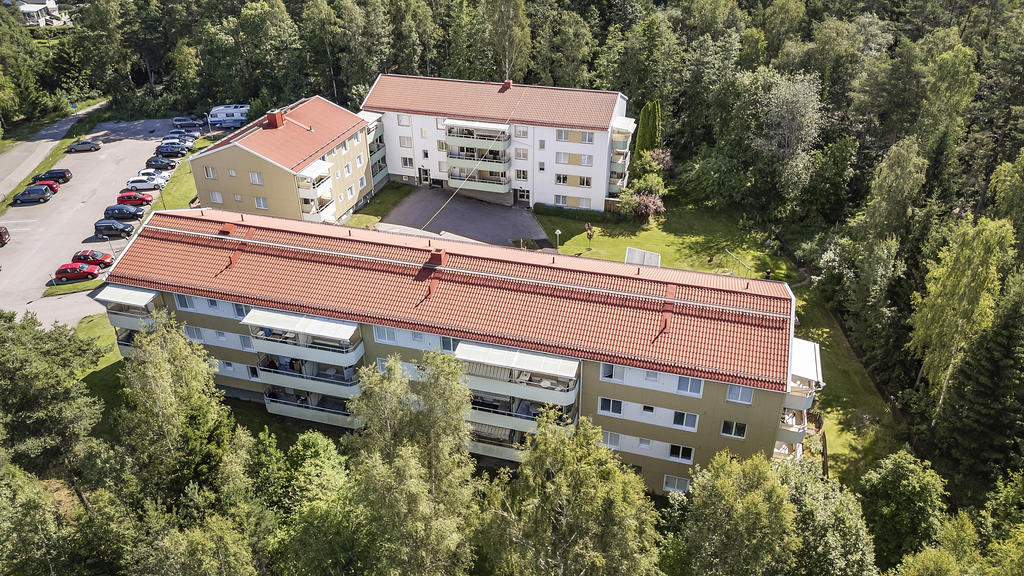 Omringat av grönska