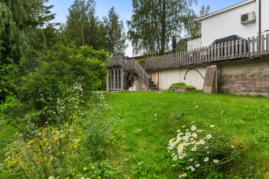 Trädgård