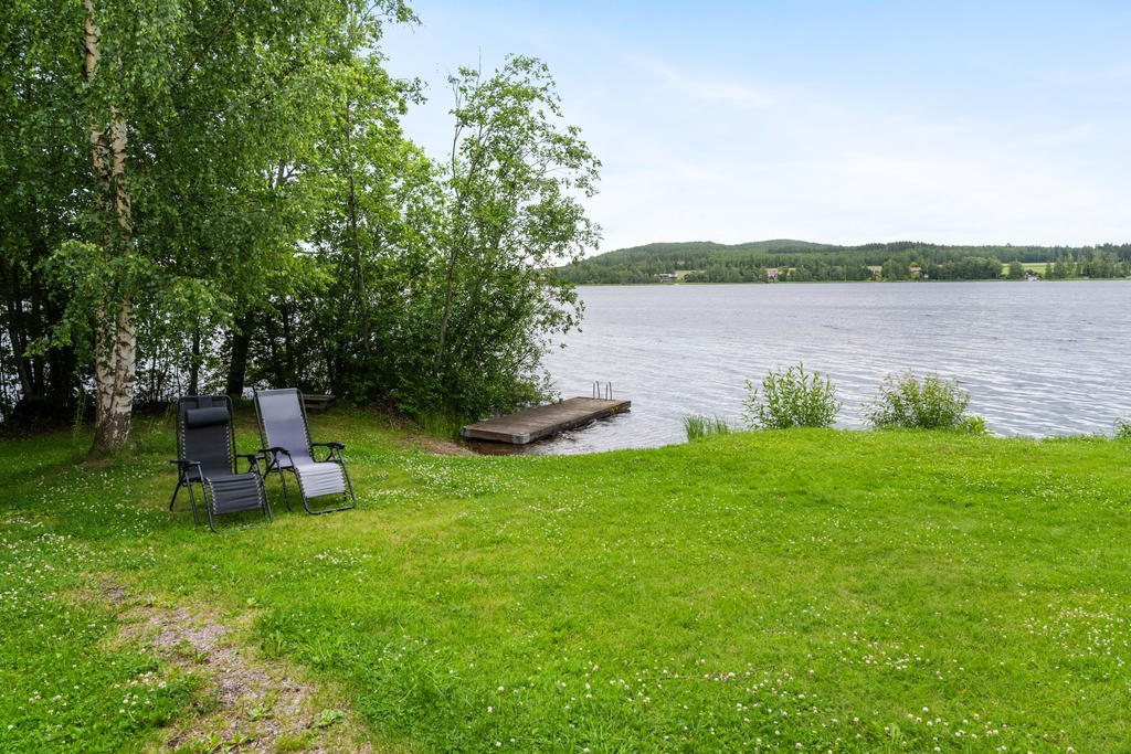 Trädgård
