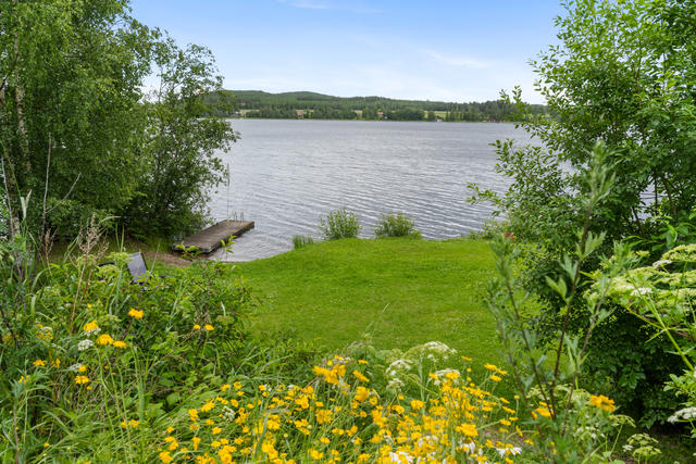 Trädgård