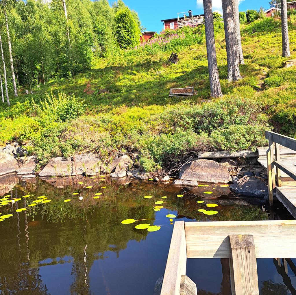 Vy från brygga mot huset.