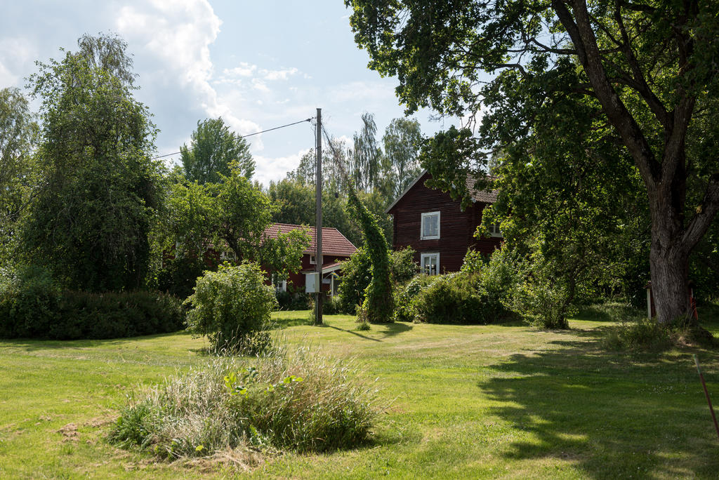 Trädgården.