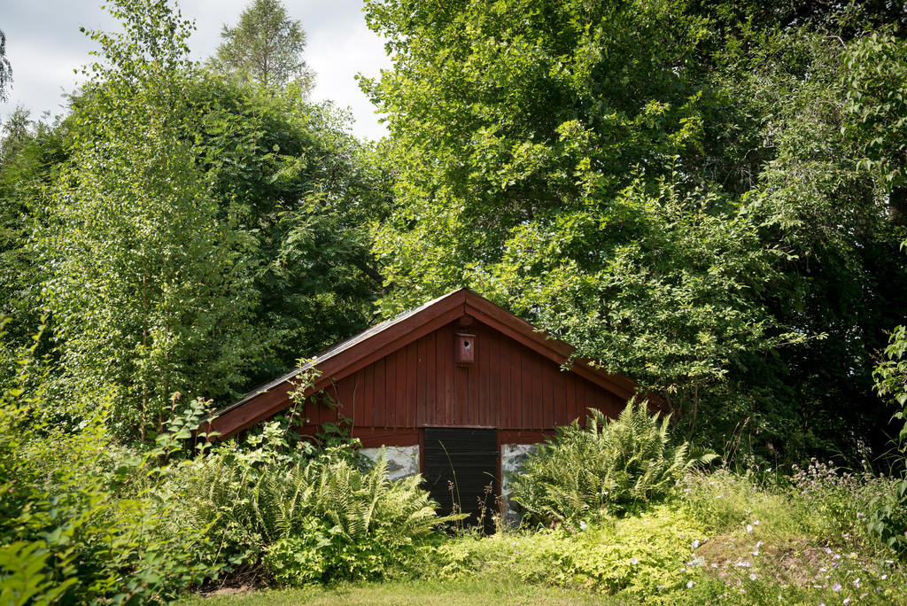 Jordkällare.