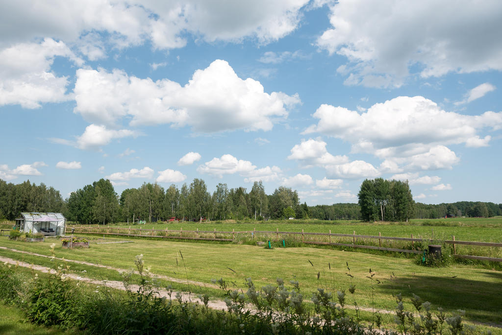 Trädgården.