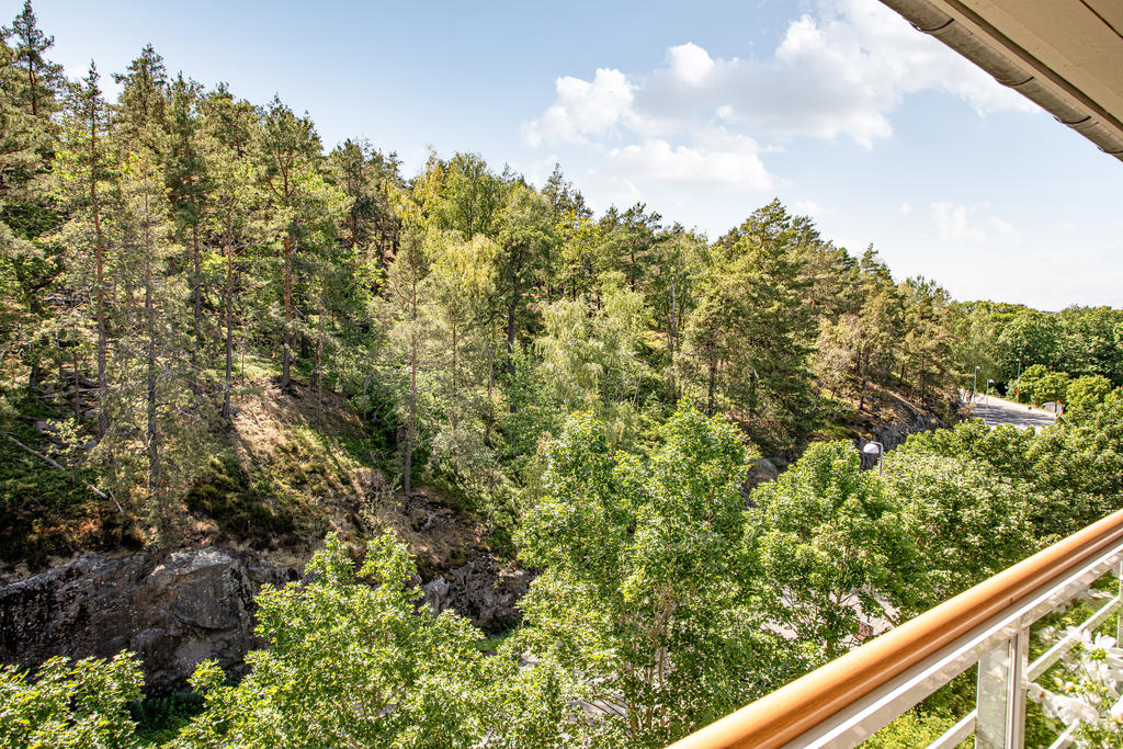 Utsikt från terrassen