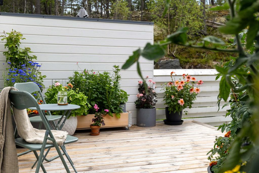 Trall med fina planteringar