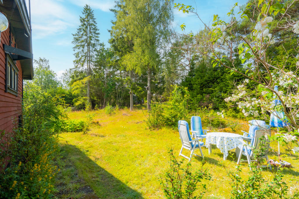I skydd av träd och växlighet