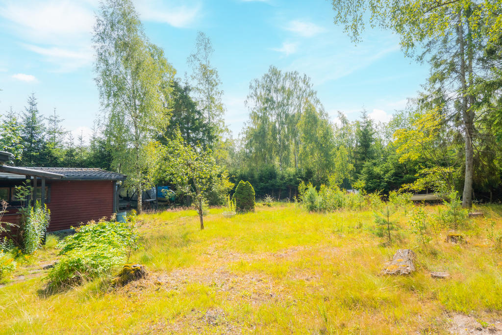 Tomt med träd och buskar