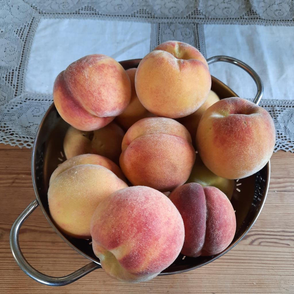 Säljarnas egna bilder - egna persikor!