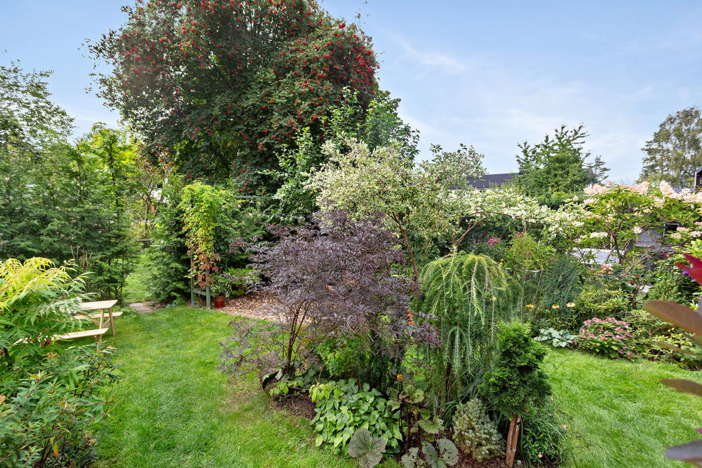 Trädgårdsgång ut mot parken, de olika planteringarna har främst införskaffats på Zetas trädgård