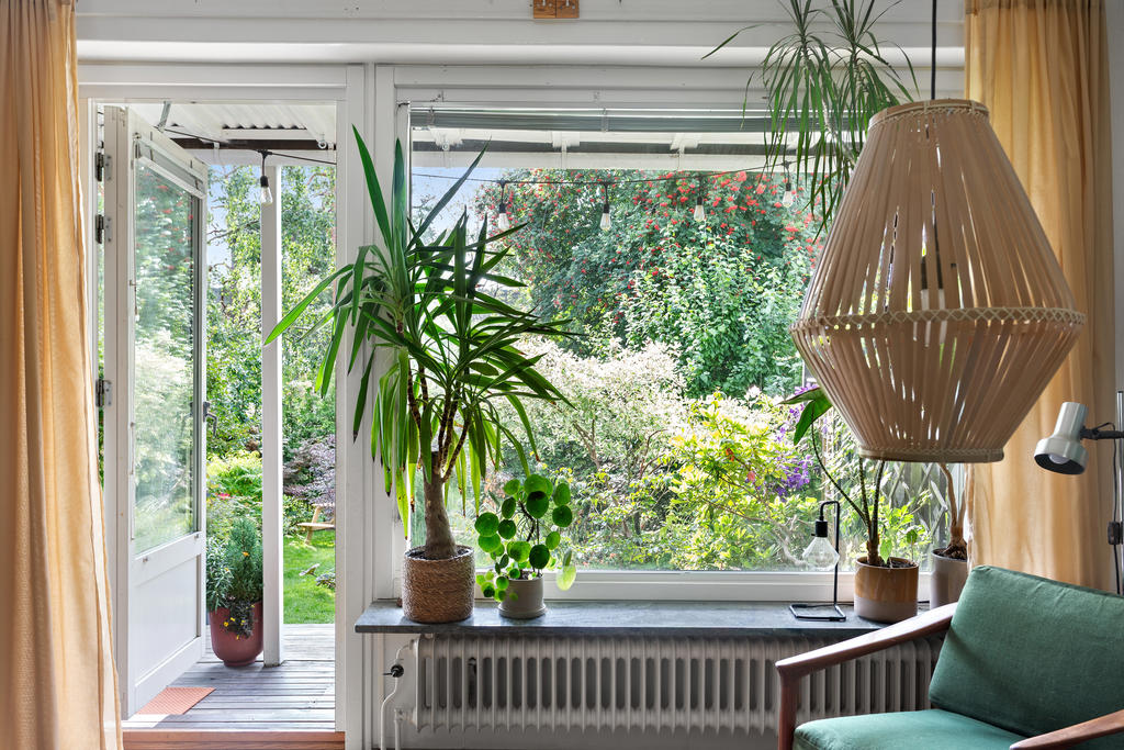 Prunkande grönska att njuta av även innifrån