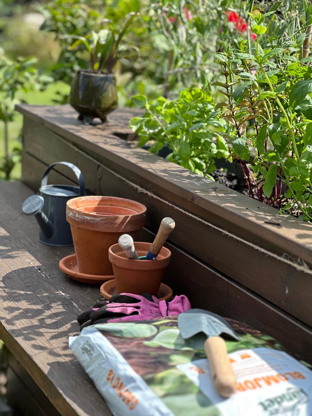 Trädgården är välplanerad med flera fina detaljer 