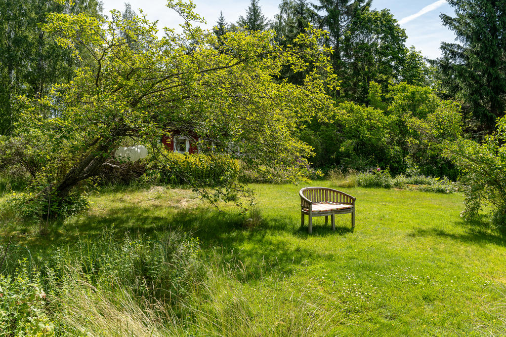 Trädgården