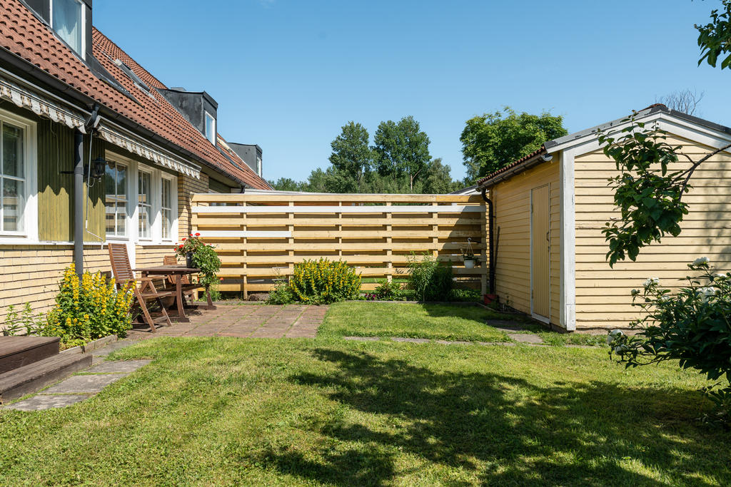 Trädgård