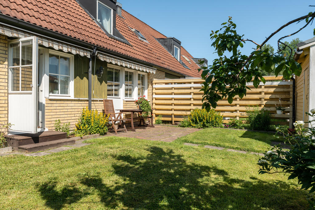 Trädgård