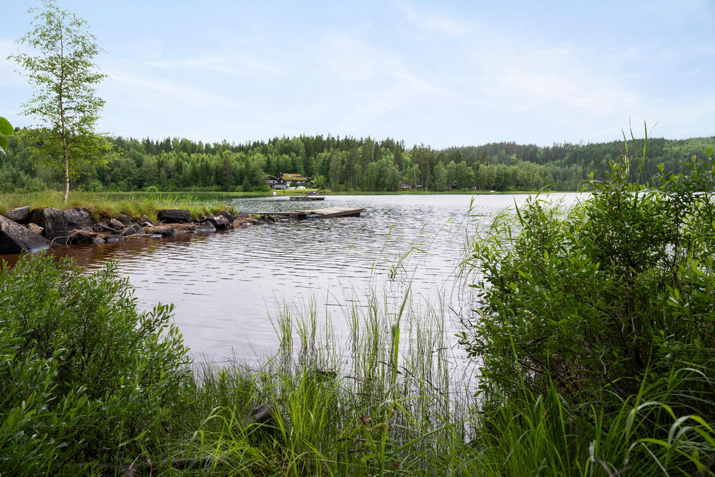 Område