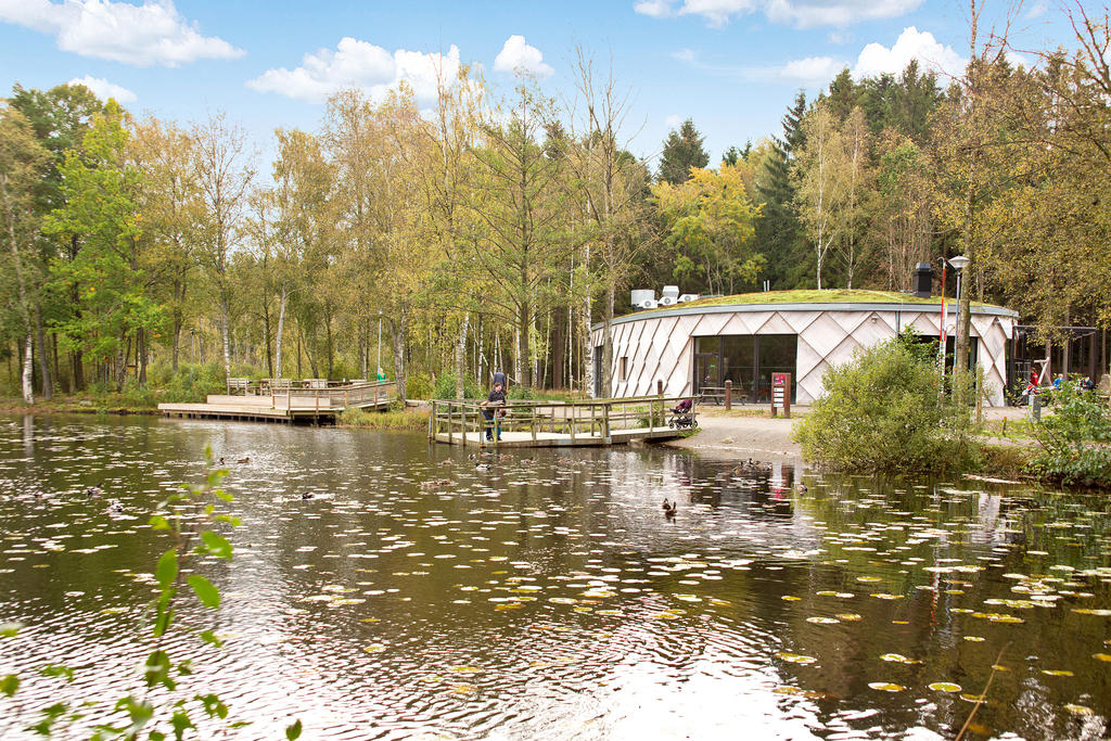 Fontins naturreservat