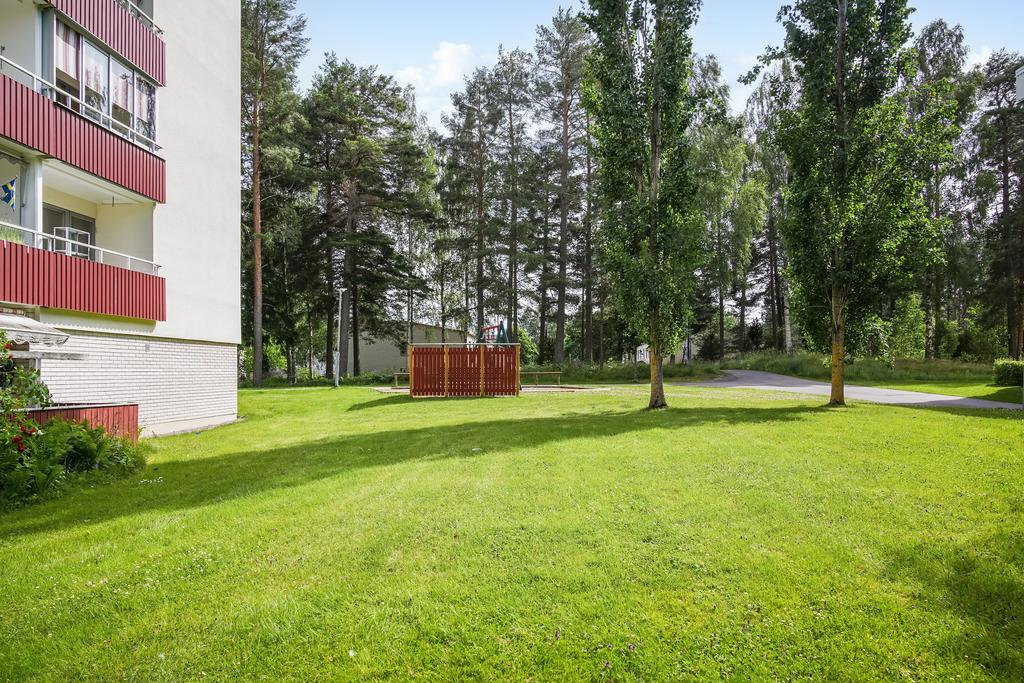 Gräsyta intill bostaden