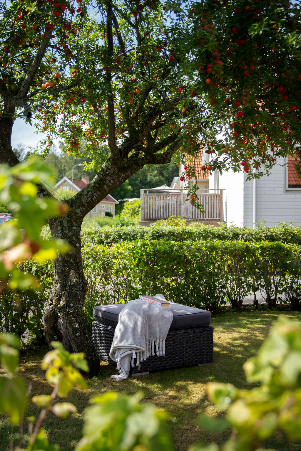 Plats att relaxa i trädgården med fina frukträd