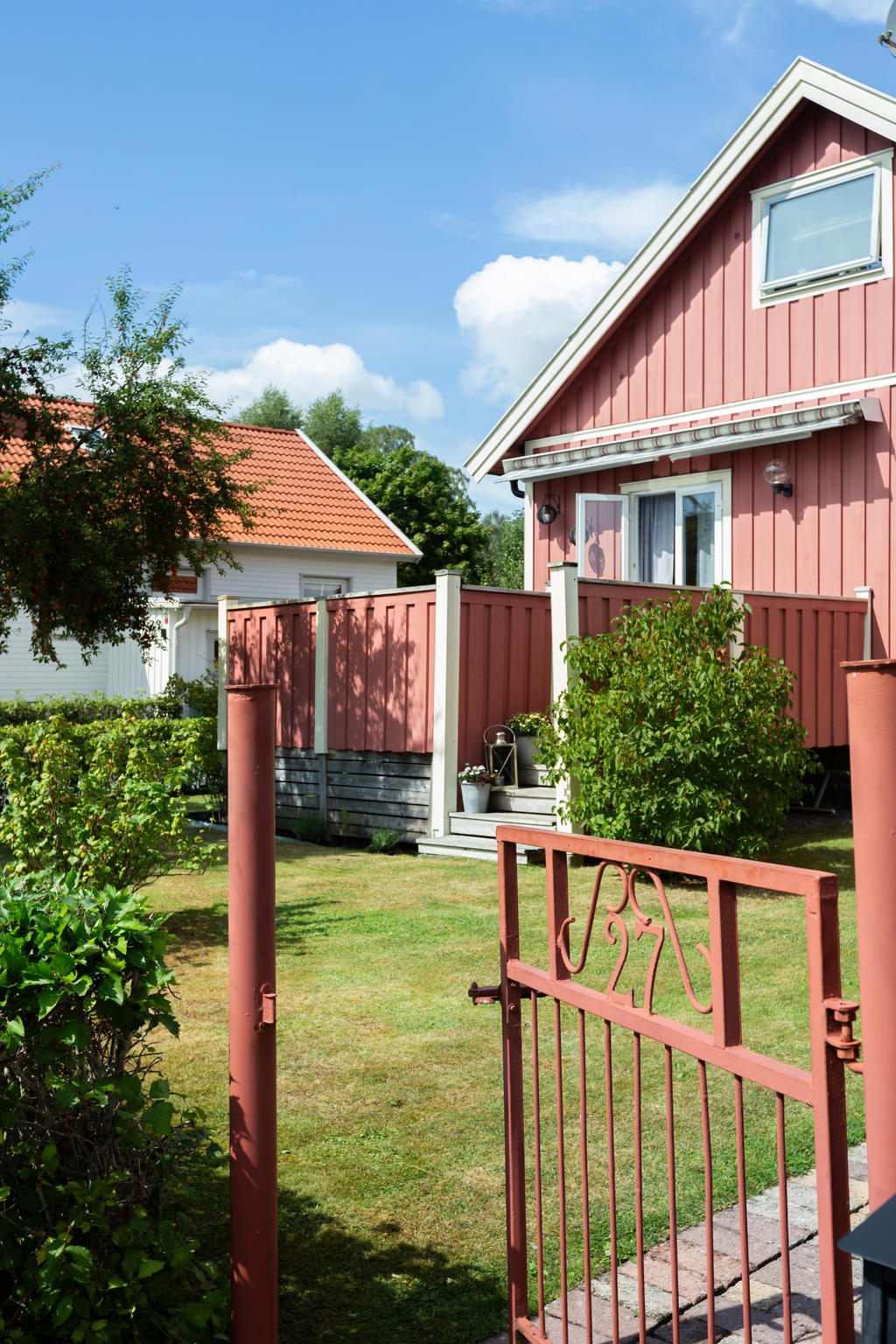 Fin plan trädgård