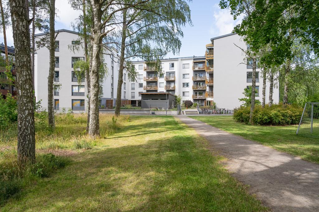 Lummiga omgivningar