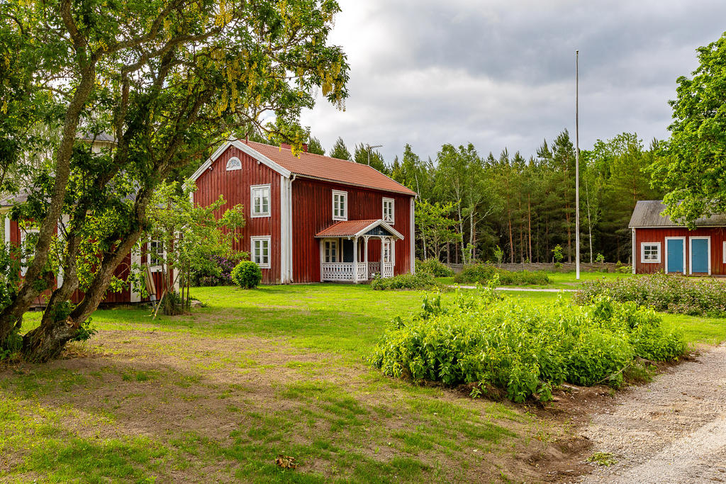 Exteriör