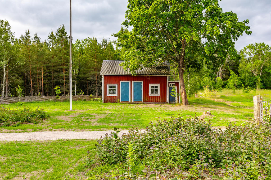Exteriör