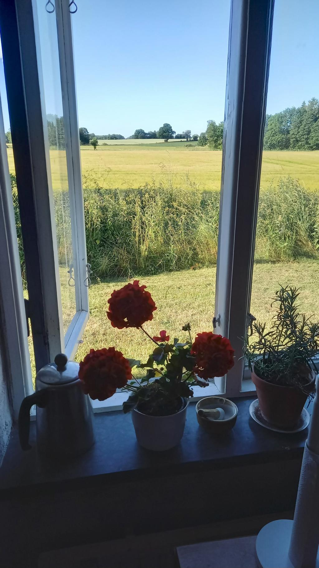 Från fönstret har man en magisk utsikt
