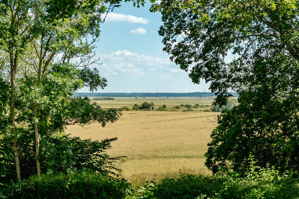 Utsikt från bland annat kök, uterum och trädgård.