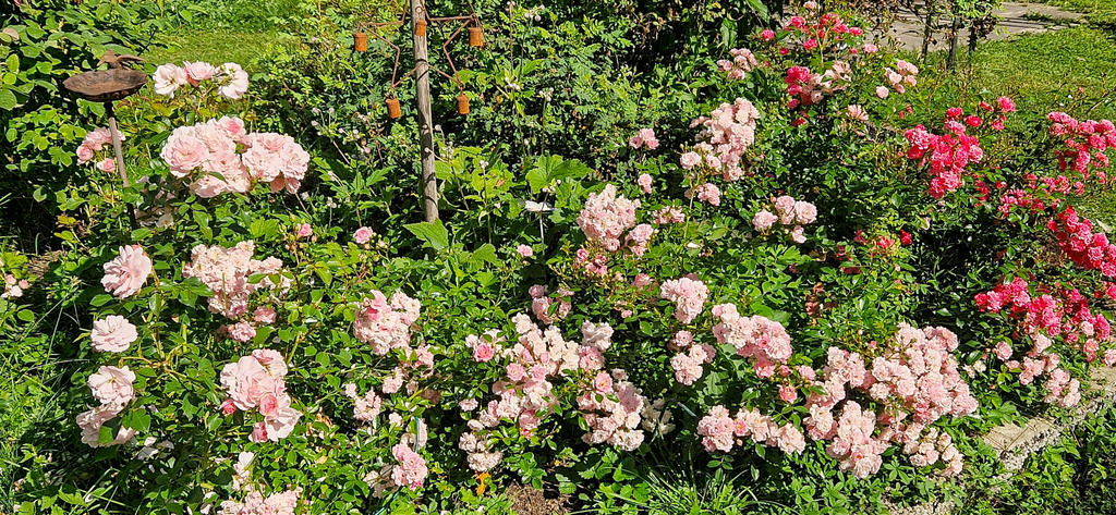 Säljarnas egen bild