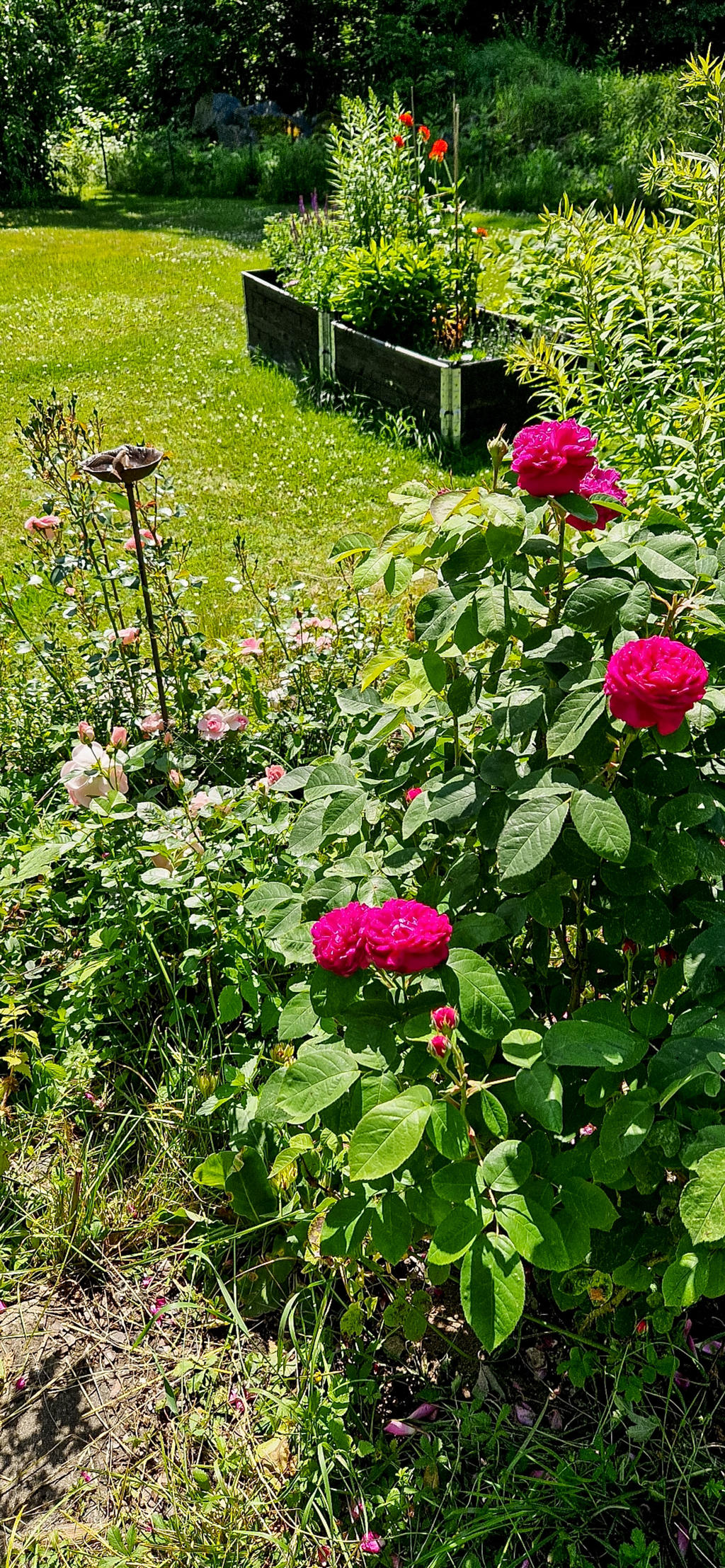 Säljarnas egen bild