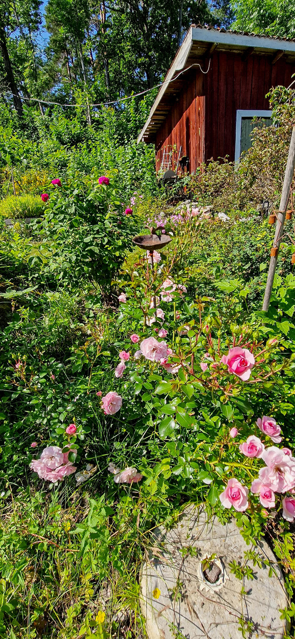 Säljarnas egen bild