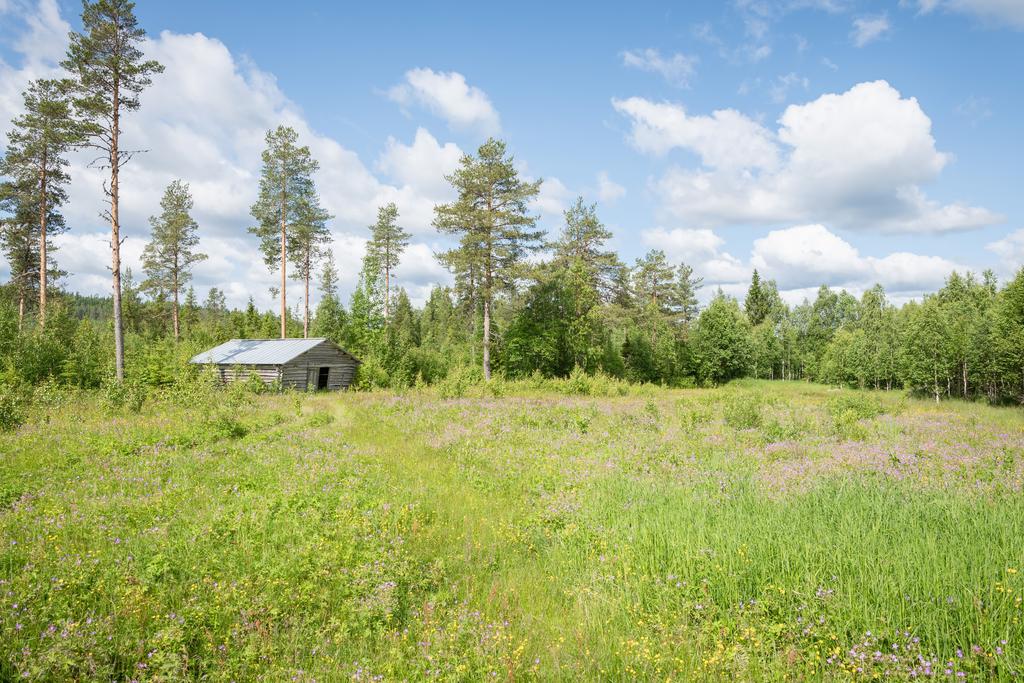 Fina skiften ingår